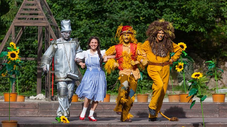 Naturtheater Greifensteine bezaubert auch 2019 wieder mit dem Stück „Der Zauberer von Oz“von Thomas Birkmeir 
