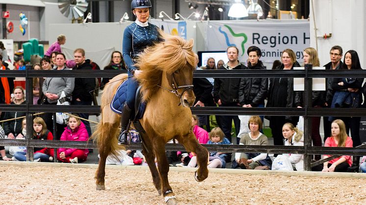 Islandshäst clinic på EuroHorse 2014