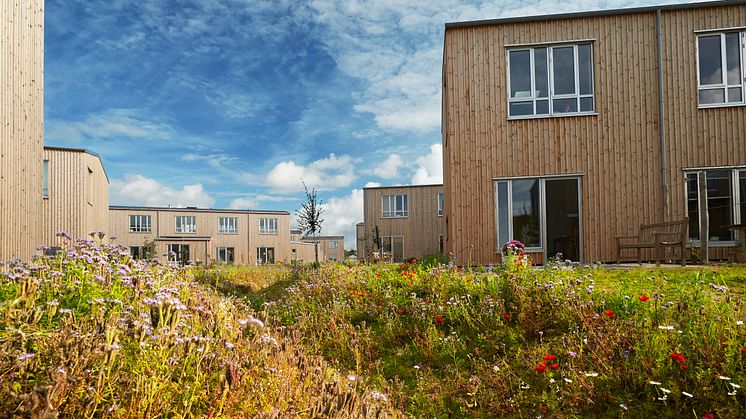 biodiversitet-mellem-husene