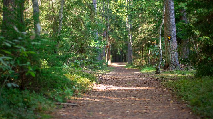 Kronoskogen, Ängelholm