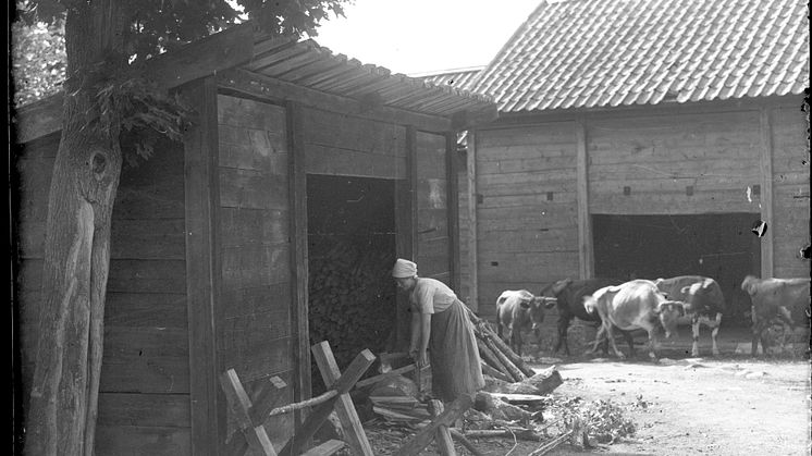 Stensjö by