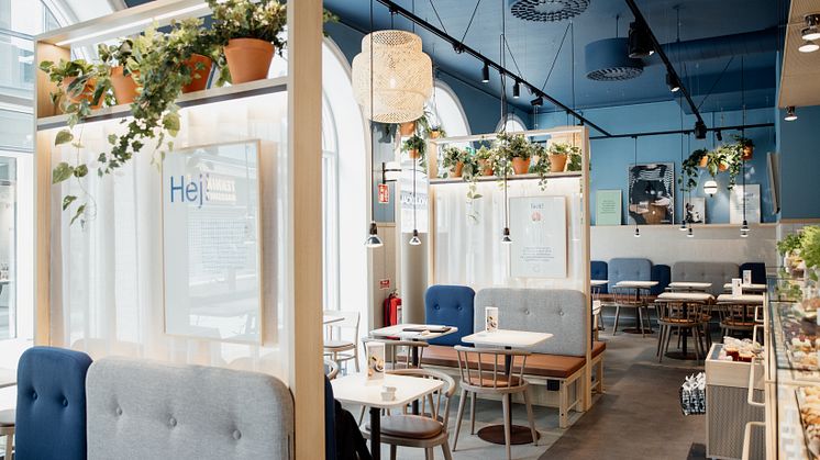 Scandinavian touch in Waynes's new concept 
