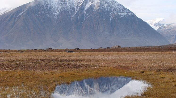 I den orörda tundran på nordöstra Grönland gör smältande is i marken att en ny sjö bildas där inga sjöar tidigare fanns. Foto: Gustaf Hugelius