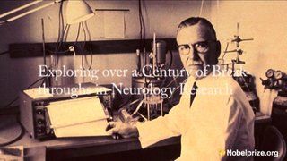Informational video about Nerve Signaling