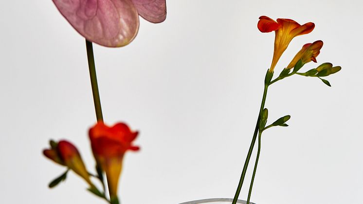 Material Goods – Elsa Ericson Ekdahl
