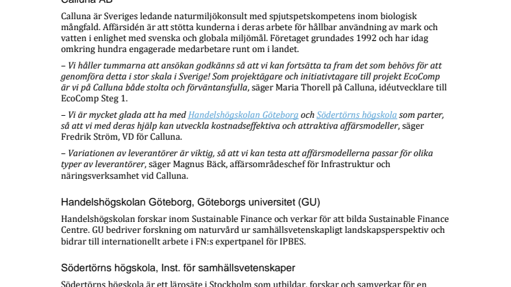 EcoComp Steg 2 - deltagande aktörer i ansökan