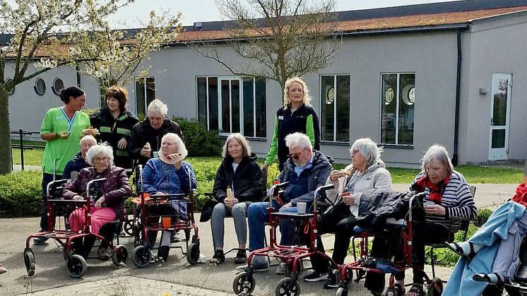 höns3.jpg