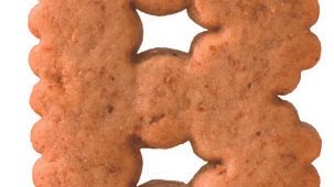 Bokstaven B