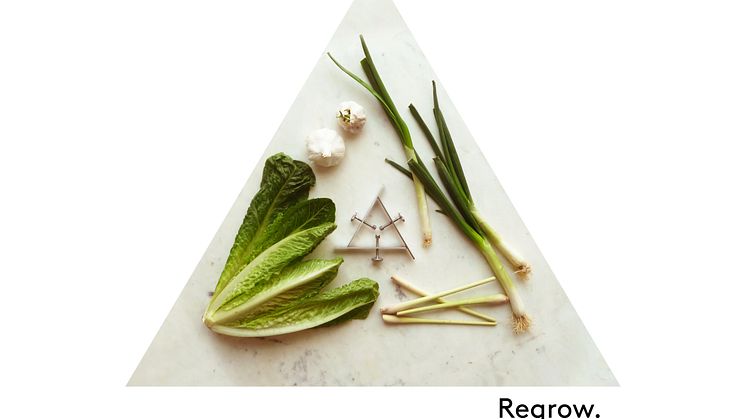 Grönsaksodling Regrow – design Madeleine Nelson