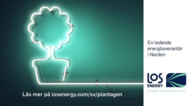 Hos Plantagen ska allt spira och gro. Med undantag för elräkningen.