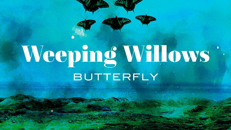 Weeping Willows - Butterfly