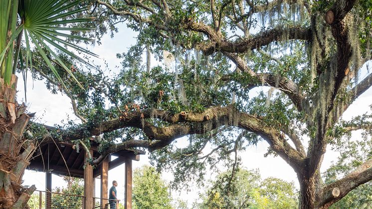 Victory Bay House auf Kiawah Island