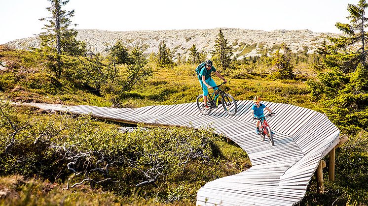 Stisykling er populært i Trysil, og det passer for hele familien. Foto: Andreas Fausko, Trysil