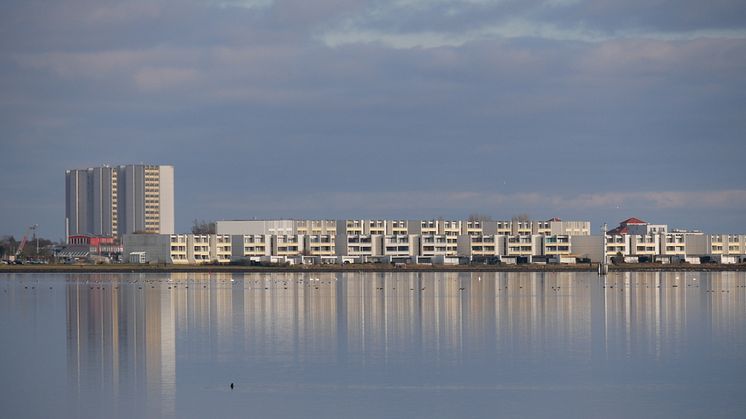 Die Feriensiedlung in Burgtiefe auf Fehmarn wurde von dem dänischen Architekten Arne Jacobsen designt und entworfen. © Tourismus-Service_Fehmarn_Sina_Schweyer