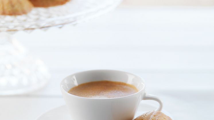 Fortissio Lungo