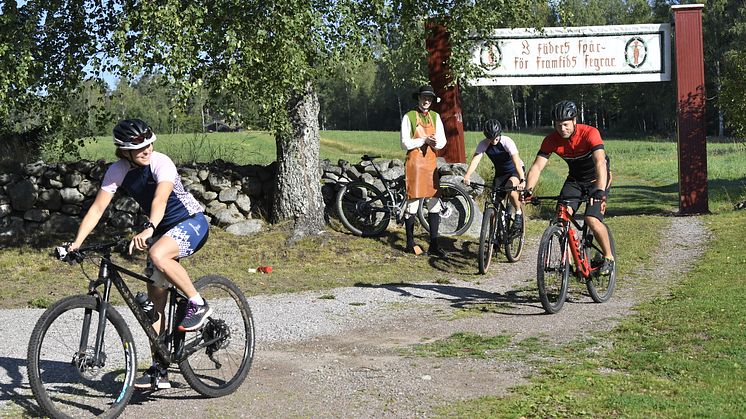 Hemmavasan 2020 i Falun