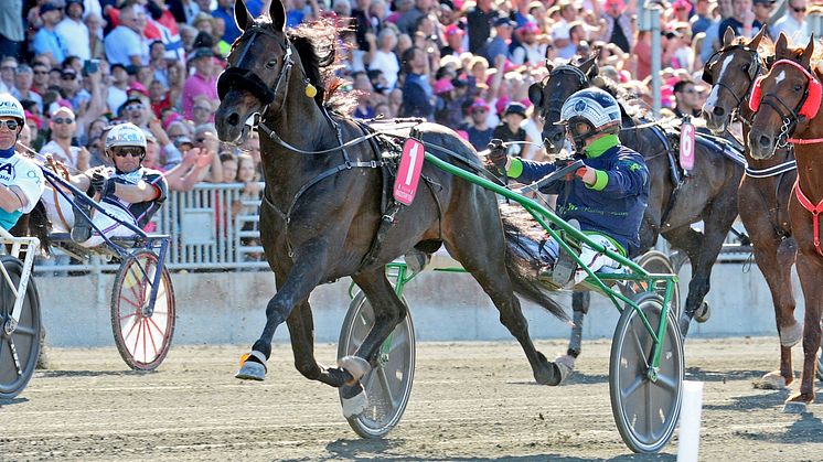 Elitloppet: Nytt omsättningsrekord för ATG 