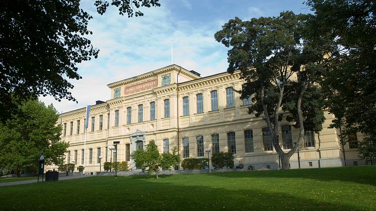 Foto: Istvan Bórbás