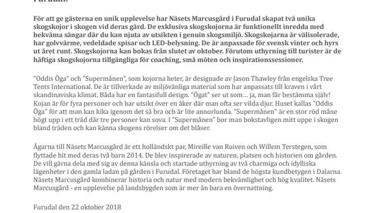 Övernatta bland trädtopparna i Dalarna 