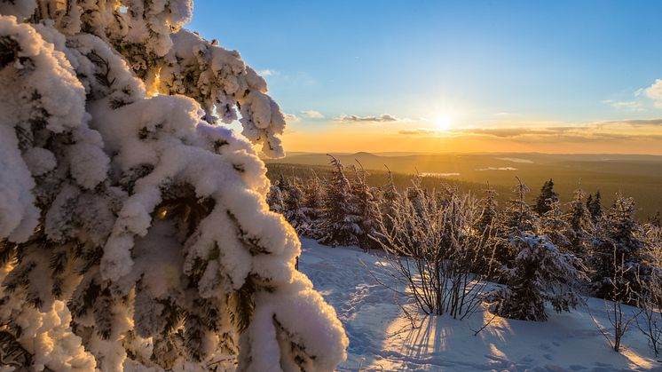 Winter im Erzgebirge 