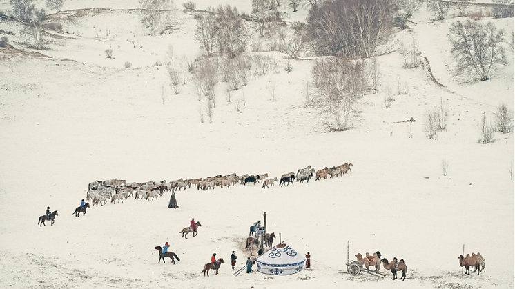 “Mongolian Yurt” by Daolai