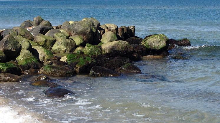 Hur vill du att ditt hav ska se ut? Bild: Skagen, Danmark. Hav: Kattegatt & Skagerak.
