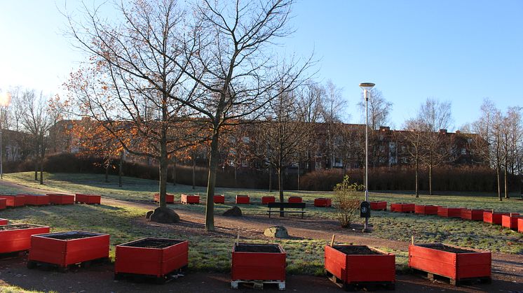 Stadsodlingi Tegelbruksparken