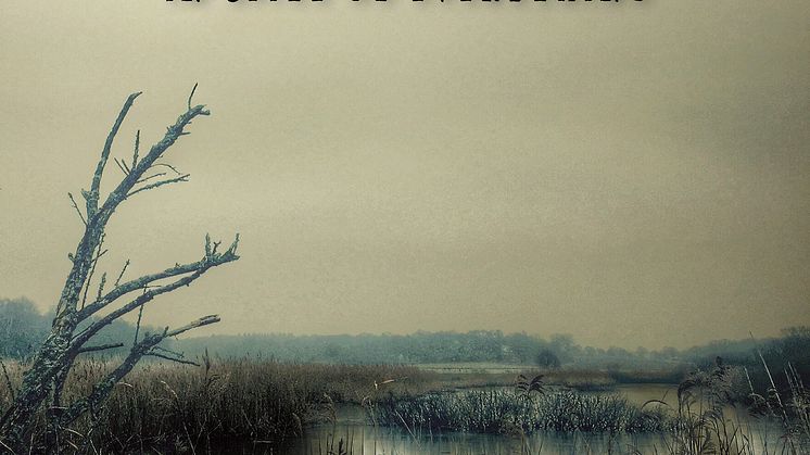 Omslag: "In Spite Of Everything"
