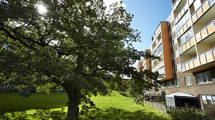 Fisksätra_Träd_Balkonger