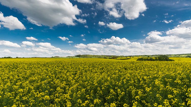Von der Prignitz bis zum Lausitzer Seenland