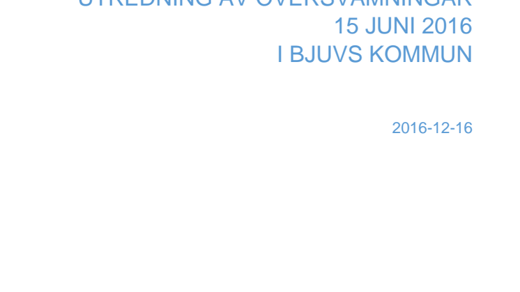 NSVAs rapport