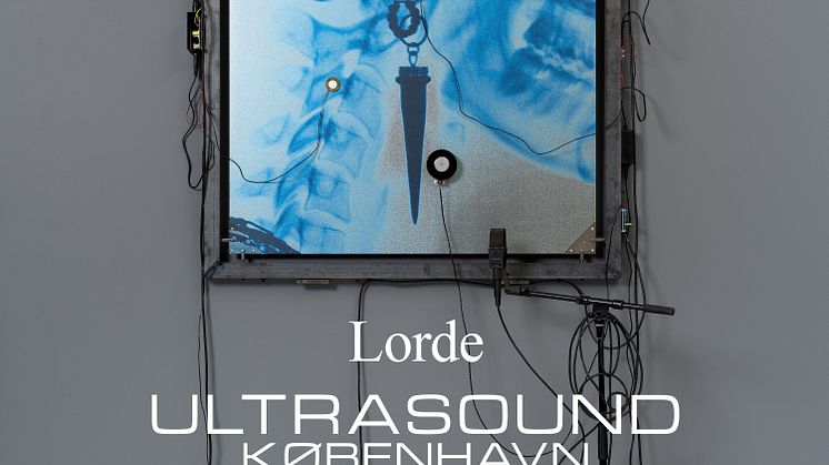 Lorde_Square_3Line copy.jpg