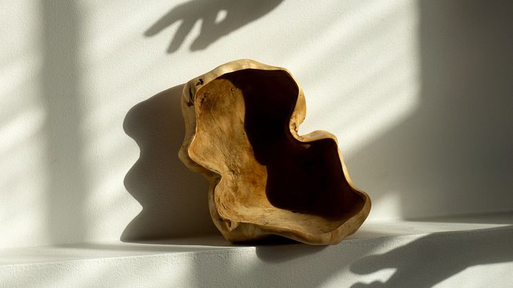 I Koppanens utställning kommer svampen till liv i form av olika material- och designexperiment. Foto: Mari Koppanen.