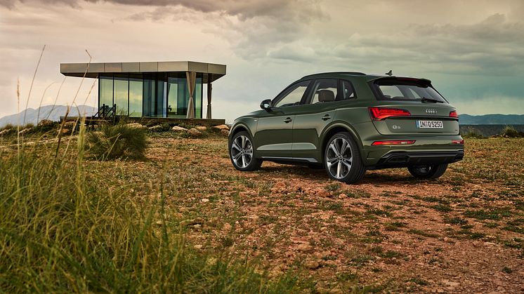 Audi Q5 2020 (Distriktgrøn)