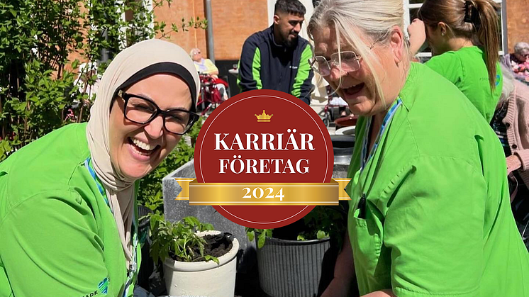 Postiljonenkarriär.png