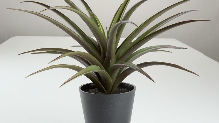Kunstig plante FREIDIG Ø36xH32cm m/potte (125 DKK)