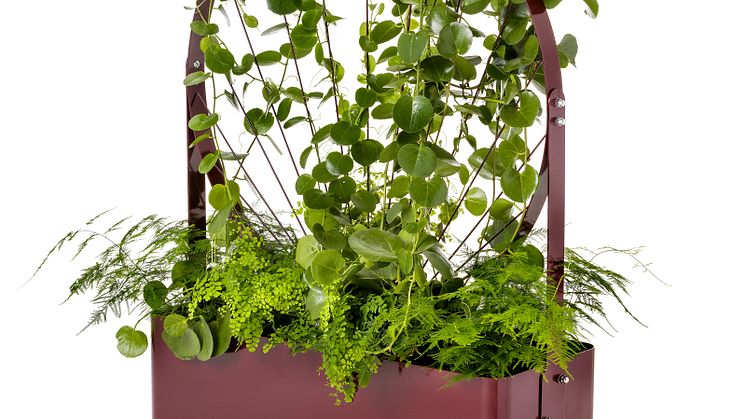 Gro planteringskärl / Planter, design Mia Cullin 