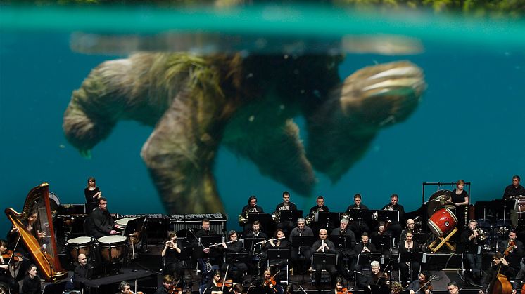Sloth_Orchestra