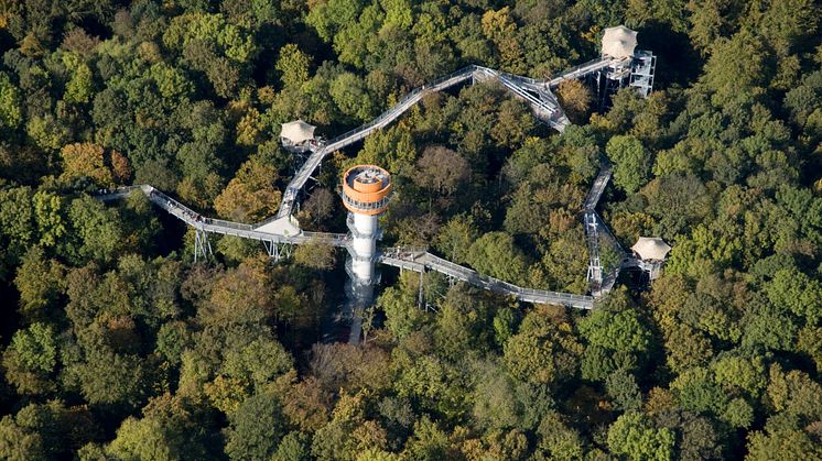 Schönstedt: Trætopstien i Nationalpark Hainich i Thüringen 