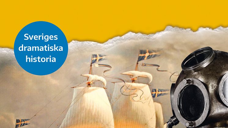 Vasaskeppets förlisning