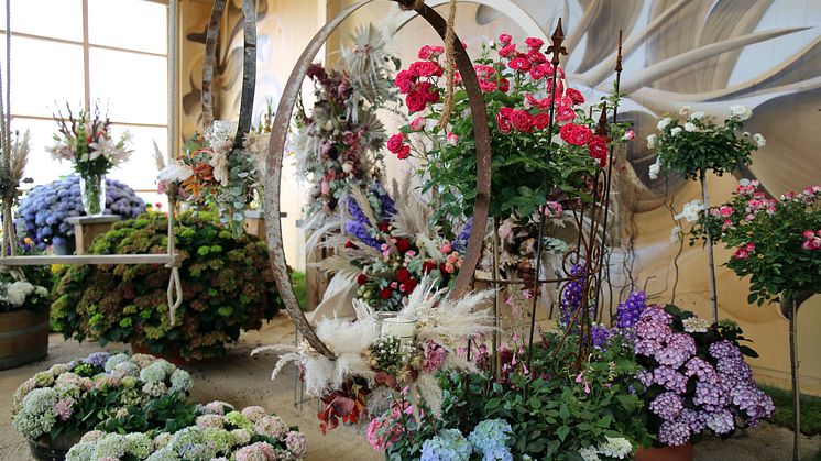 Blumenschau "Rosen - romantisch, zeitlos, schön" in der 9. Sächsischen Landesgartenschau Torgau 2022 - Foto: Andreas Schmidt 