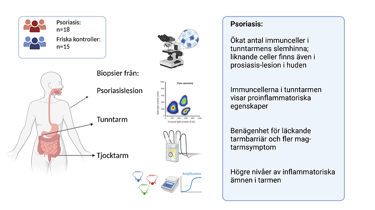 Illustration, sammanfattning, psoriasisstudie.