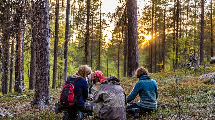 Inventering av skog i Karatj-Råvvåive. Foto: Marcus Westberg. (Bild skyddaskogen.se)