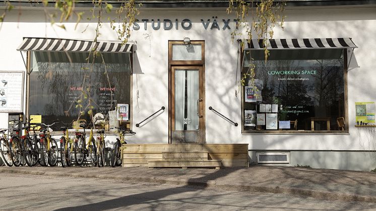 Studio Växt