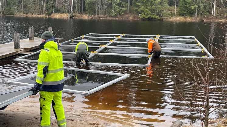 ​Fiberduk ska bekämpa sjögull i Hokaån