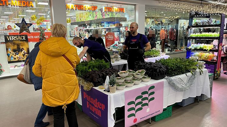 Erster B2C-Verkauf von Potager Farm: Schnell ausverkaufte Regale beim Weihnachts-Pop-up 