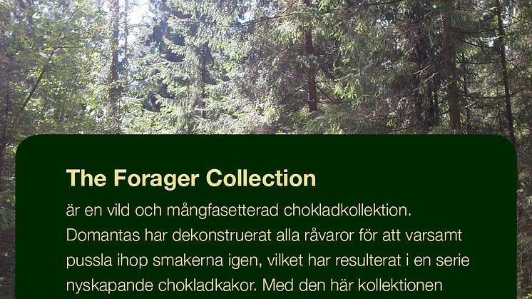 Naive The Forager Collection