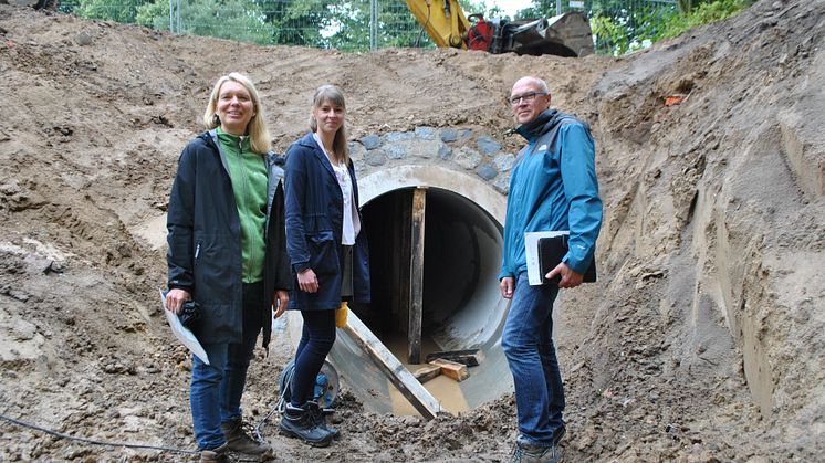 Ottertunnel Groß Thurow