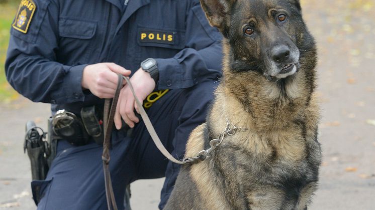 Årets polishund 2021