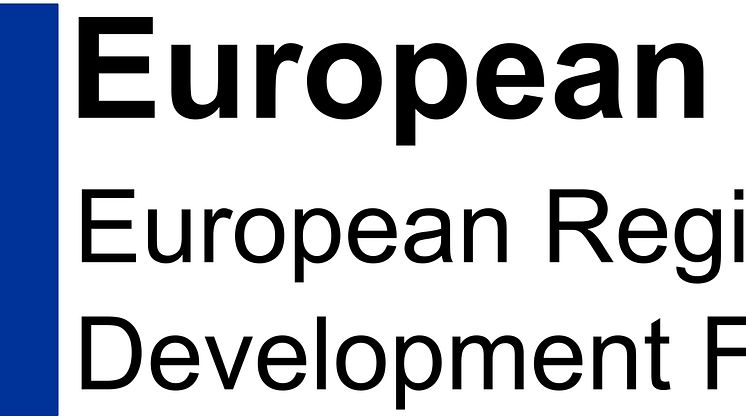 LogoERDF_Col_Landscape